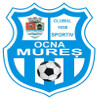 CS Ocna Mures logo