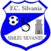 CS Sportul Simleu Silvaniei logo