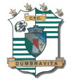 CSC Dumbravita U19 logo