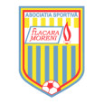 CSM Flacara Moreni logo