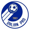 Dalian Professional U17 logo