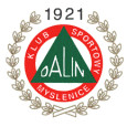 Dalin Myslenice logo