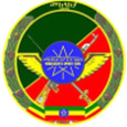 Defence Force ETH logo