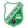 DSV Fortuna 05 logo