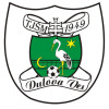 Dulova Ves logo