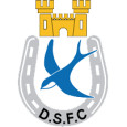 Dungannon Swifts logo