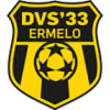 DVS 33 Ermelo logo