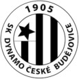 Dynamo Ceske Budejovice U19 logo