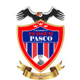 Ecosem Pasco logo