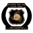 Ethiopia Nigd Bank logo