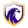 Falcon FC SE Youth logo