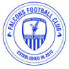 Falcons FC logo