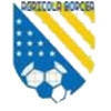FC Agricola Borcea logo