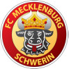 FC Mecklenburg Schwerin logo