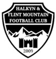 Flint Mountain logo