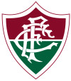 Fluminense de Feira BA logo