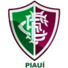 Fluminense PI (Youth) logo