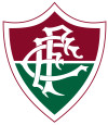 Fluminense RJ (Youth) logo