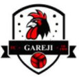 Gareji Sagarejo logo