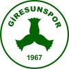 Giresunspor U19 logo