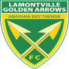 Golden Arrows Reserves logo