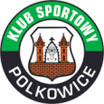Gornik Polkowice logo