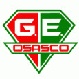 Gremio Osasco Youth logo