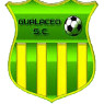 Gualaceo SC logo