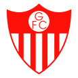 Guarany de Bage logo