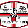 Hapoel Bnei Arrara Ara logo