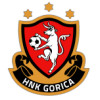 HNK Gorica W logo