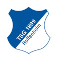 Hoffenheim U17 logo