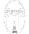 Holesov logo