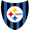 Huachipato (W) logo