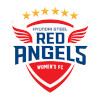 Hyundai Steel Red Angels (w) logo
