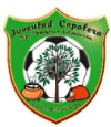 Juventud Copalera (W) logo