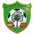 Juventud Copalera logo