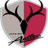 Kashima Antlers (Youth) logo