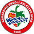 KDZ Ereglispor (w) logo