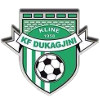 KF Dukagjini logo