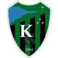 Kocaeli Birlik Spor logo