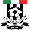 Launceston City B logo