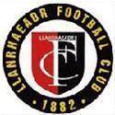 Llanrhaeadr logo