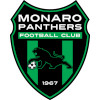 Monaro Panthers U23 logo