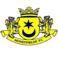 Moneyfields logo