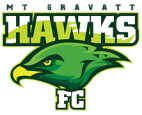 Mount Gravatt Hawks logo