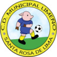 Municipal Limeno logo