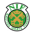 Naestved logo