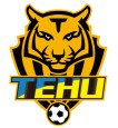 Nanjing Tehu Football Club logo