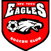 New Town Eagles logo